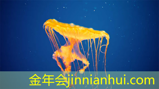 3d古风剑客游戏大全最新
